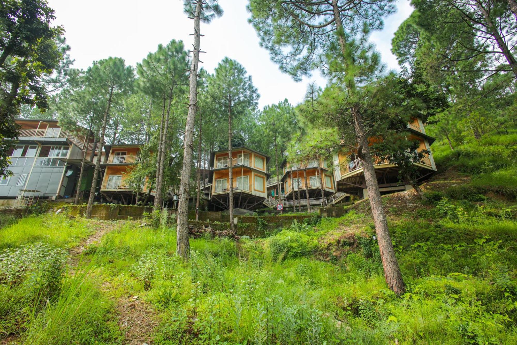 فندق The Woods Retreat لانسداون المظهر الخارجي الصورة