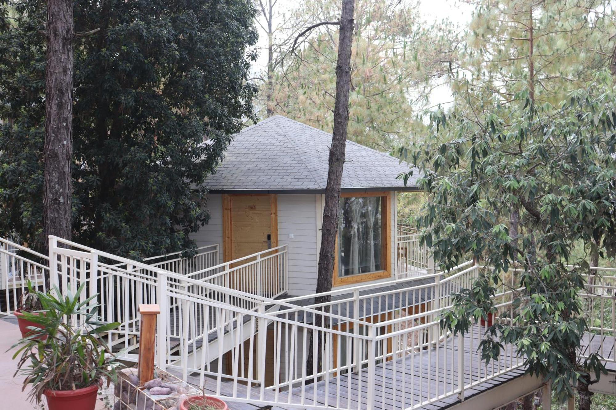فندق The Woods Retreat لانسداون المظهر الخارجي الصورة